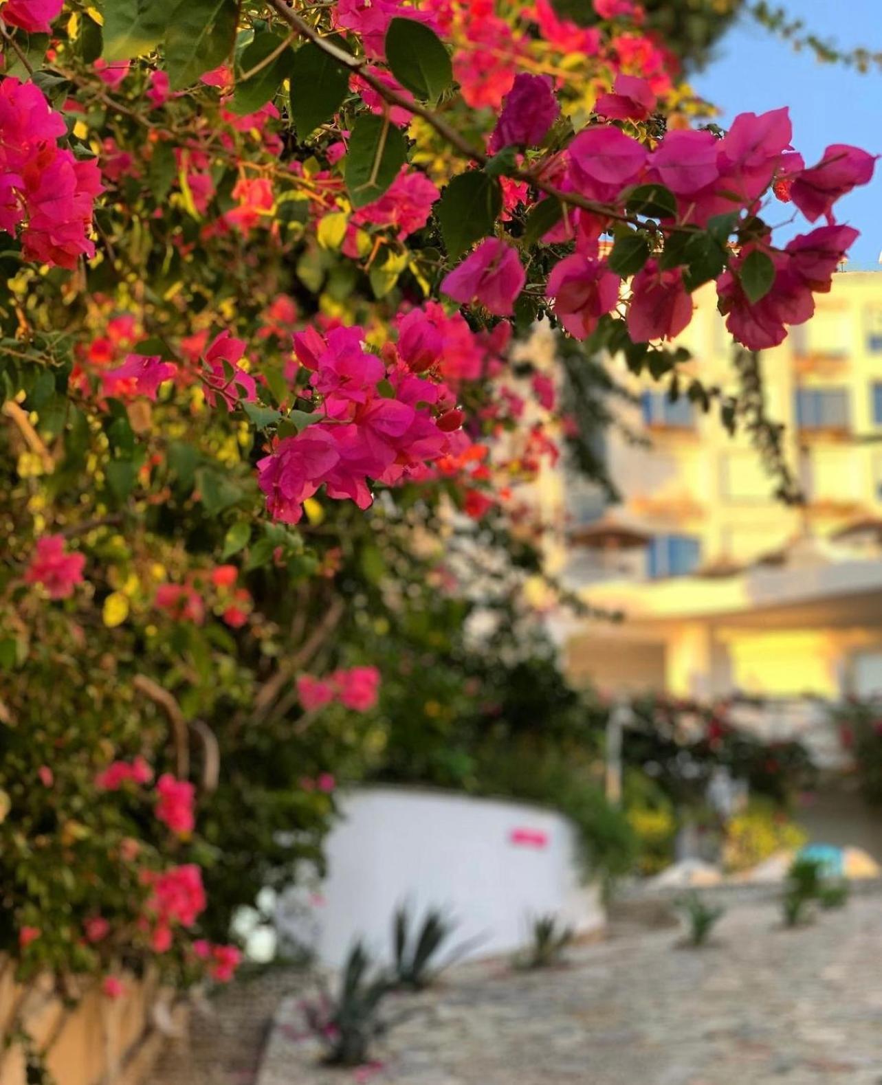 Bellavista Apartments Bougainville Bay Saranda Dış mekan fotoğraf