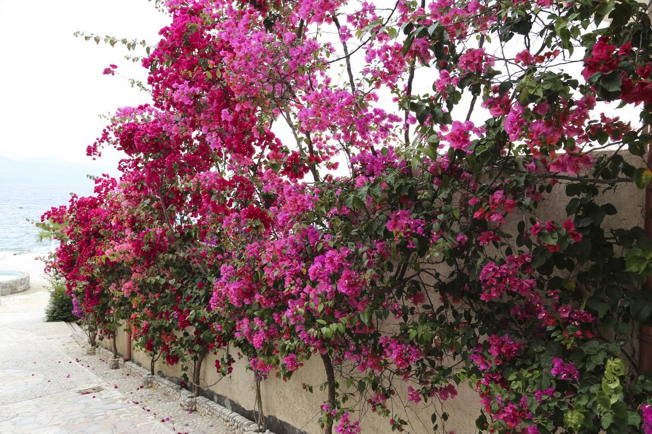Bellavista Apartments Bougainville Bay Saranda Dış mekan fotoğraf